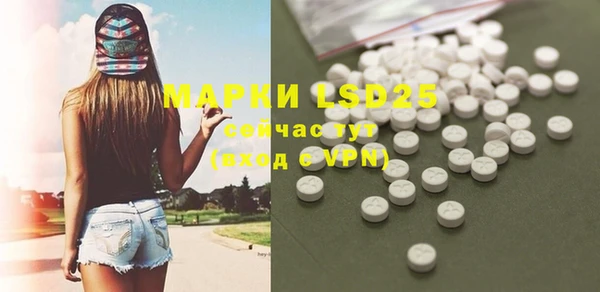 гашик Заволжье