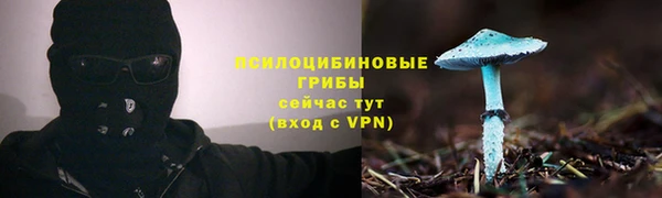 гашик Заволжье